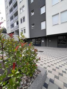 una pianta di fronte a un edificio di Romanijska a Banja Luka