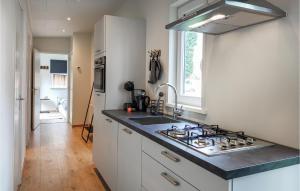 Dapur atau dapur kecil di Lovely Home In Heinkenszand