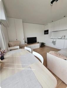 TV a/nebo společenská místnost v ubytování Causy Rooftop Apartment St. Idesbald + 25 fotografií