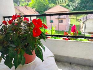 Μπαλκόνι ή βεράντα στο Apartman Ana