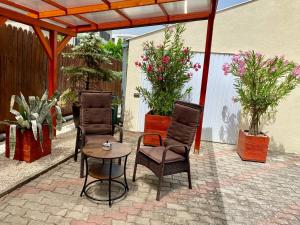 ケストヘイにあるPèterTünde Vendèghàzのパティオ(椅子、テーブル、鉢植えの植物付)