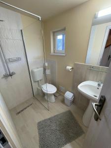 a bathroom with a shower and a toilet and a sink at Vila Niculina in Moieciu de Jos