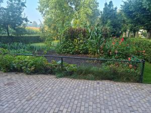 Zahrada ubytování vakantiehuis en appartement De Harscamp