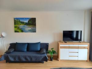 TV a/nebo společenská místnost v ubytování Apartment Auszeit Strobl