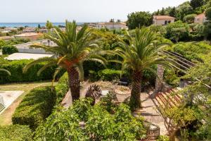 a group of palm trees in a garden at Villa Anaite Piscine privée in Antibes