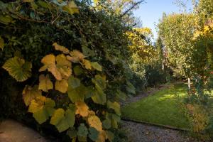 Zahrada ubytování Al Porto Di Lucca B&B