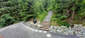 ヴィシュナ・ボチャにあるDrevenica Čertovicaのギャラリーの写真