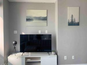 Modern spacious Apt plus Solarium and Den in Downtown Vancouver with Parking and Pool的电视和/或娱乐中心