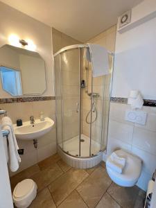 een badkamer met een douche, een toilet en een wastafel bij Hotel Restaurant Neffelthal in Kerpen