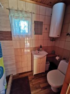 a small bathroom with a sink and a toilet at Domki Jaśmin 781-012-181 in Polańczyk +43 photos