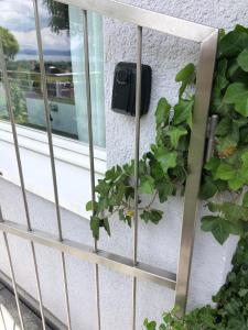 Zahrada ubytování Ferienwohnung am Bodensee - Ruhe,Natur und Golfgenuss