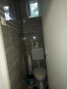 Koupelna v ubytování Grevia Apartmanok