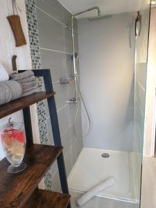 a shower with a glass door in a bathroom at Happiness Cottage in Colmar