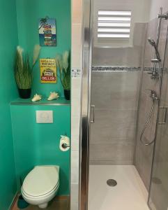 e bagno con doccia, servizi igienici e lavandino. di Couleur Caraïbes-TI EVASION appartement dans un hôtel 3 étoiles vue mer a Sainte-Luce