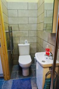 a bathroom with a toilet and a sink at The Hideaway, Castle an Dinas, Cornwall TR9 6JB in Saint Columb Major