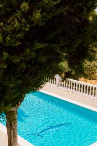 a blue swimming pool with a tree next to it at Villa Can Vincent in Sant Josep de Sa Talaia
