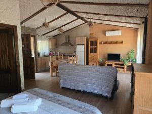 TV a/nebo společenská místnost v ubytování Las Casitas Del Bodegon