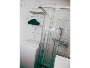 Un baño con inodoro y ducha de cristal. en Victoria's Place Apartment, en Liubliana