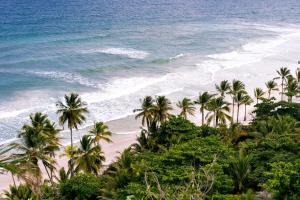 an aerial view of a beach with palm trees and the ocean at Naolina Beach Villa in Weligama