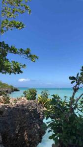 Ảnh trong thư viện ảnh của Amani - Private Ocean House with Pool ở Kikungwi