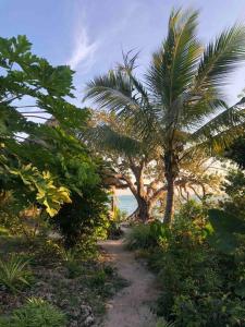 Ảnh trong thư viện ảnh của Amani - Private Ocean House with Pool ở Kikungwi