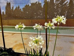 Bazén v ubytovaní Agradable casa de campo con piscina en la Barrosa alebo v jeho blízkosti