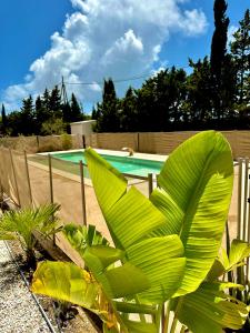 Bazén v ubytovaní Agradable casa de campo con piscina en la Barrosa alebo v jeho blízkosti