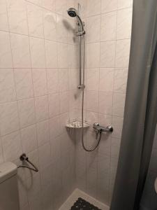 a bathroom with a shower and a toilet at Jasna in Poreč +17 photos