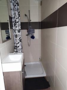 Koupelna v ubytování Maison 3 étoiles + 25 fotografií