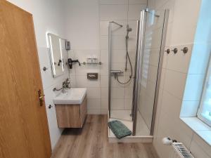a bathroom with a shower and a sink at Wohlfühl-Wohnungen im Herzen von Clausthal in Clausthal-Zellerfeld