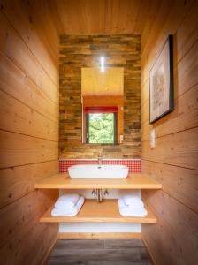 a bathroom with a sink in a wooden wall at Chalet La Souris, chaleureux avec vue panoramique in Gérardmer
