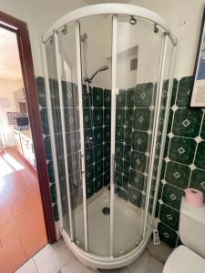 eine Dusche in einem Badezimmer mit grünen Fliesen in der Unterkunft U refuggiu in Porticcio