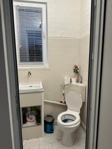 a bathroom with a toilet and a sink and a window at Calipsso Apartment's in Belogradchik +9 photos