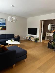 Et tv og/eller underholdning på Flott enebolig, med 3 soverom og 2 bad, med kort vei til sentrum