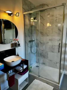 a bathroom with a shower and a sink at La Maison des Tarentes in Brignoles