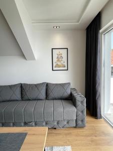 Afbeelding uit fotogalerij van Relax Residence in Golubac