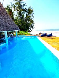 Bazén v ubytování Blue Palm Zanzibar nebo v jeho okolí