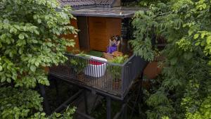Crystal Kuruva Nature Resort & Spa外面的花园