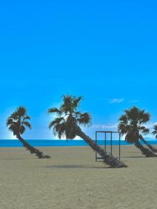 Fotografia z galérie ubytovania Charmant studio proximité plage et commerces 3B28A v destinácii Le Barcarès