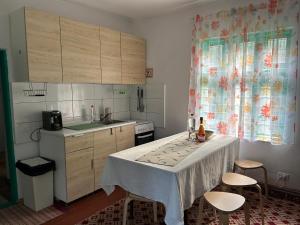 a kitchen with a table and two chairs in it at Pridvorul lui Viorel in Proviţa de Sus
