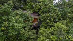 瓦亚纳德Crystal Kuruva Nature Resort & Spa的森林中的一个树屋