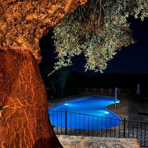 Photo de la galerie de l'établissement Hotel Resort Hípico El Hinojal, à Montánchez