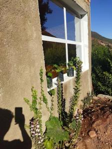 Zahrada ubytování petit villa avec Piscine privé sur le vallée d'Ourika