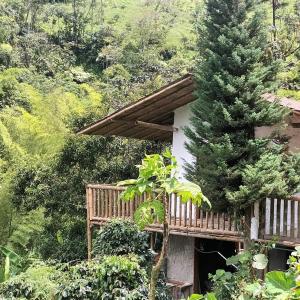 une maison avec une terrasse en bois à côté d'un arbre dans l'établissement Cabañas rurales Arabi, à Pereira