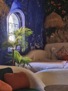 a living room with two beds and a window at Casa Amina in Chefchaouene
