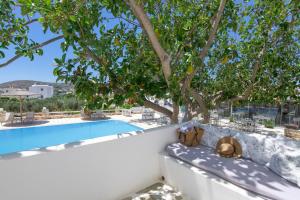 Fotografie z fotogalerie ubytování Margarita Studios Ambelas v destinaci Ambelas