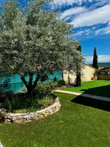 a tree in the middle of a yard at La Maison des Tarentes in Brignoles