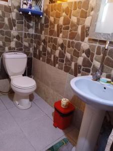 ダハブにあるBlue houseのトイレと洗面台付きのバスルーム