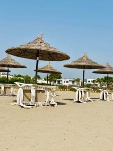 a group of chairs and umbrellas on a beach at Mahane in Tirana