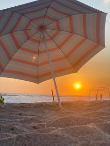 Příroda nedaleko prázdninového domu